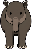A anta