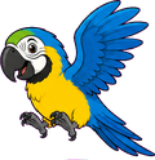 Arara em voo