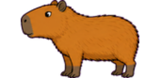 A capivara