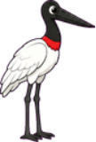 O tuiuiú